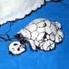 Turtle Bones